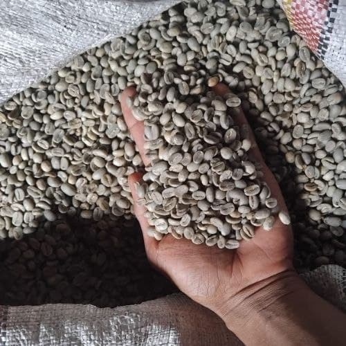 Arabica Flores Bajawa