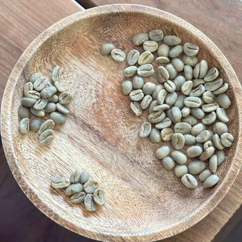 Arabica Gayo Aceh