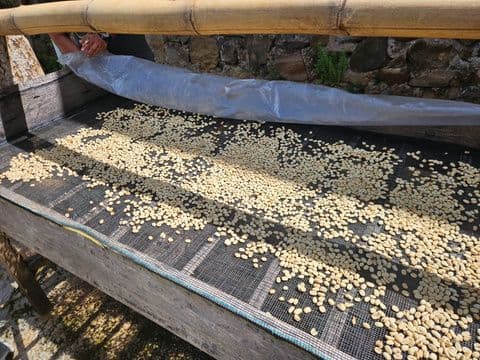 Harvest Capacity